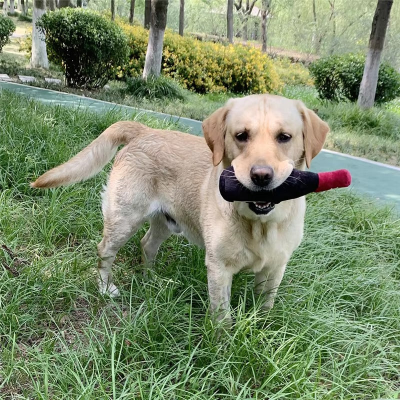 Interactive Squeaky Toy For Dogs